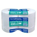 TOALLA PAPEL ABSORVENTE 2 ROLLOS 250MT HS