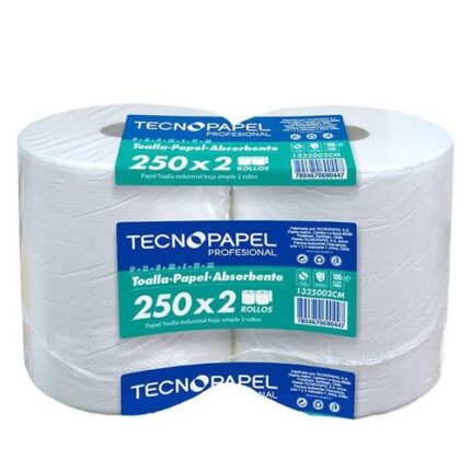 TOALLA PAPEL ABSORVENTE 2 ROLLOS 250MT HS