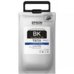 T973120 - EPSON T973 STDCAP DBUPRO BLK INK SUPPLY UNIT